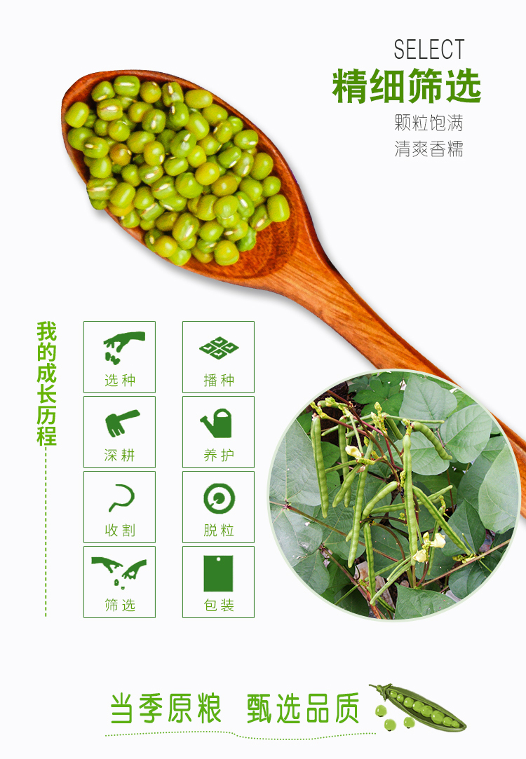 绿豆详情页_05.jpg