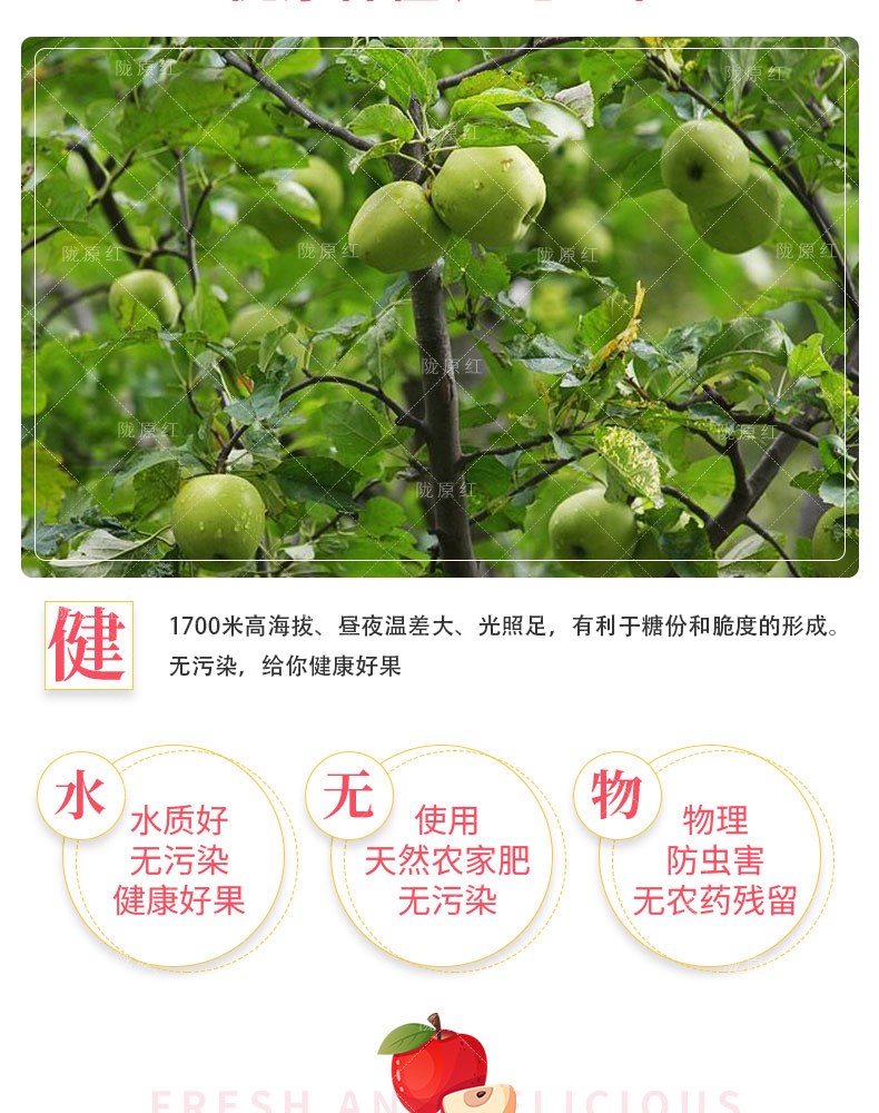 苹果详情页_04.jpg