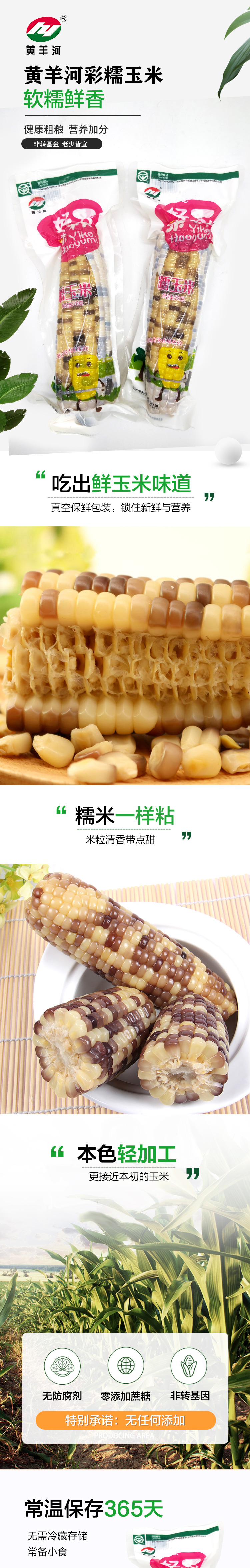 彩玉米详_01.jpg
