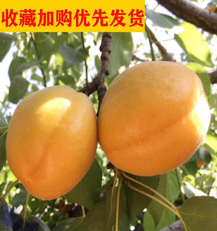 a84ff32fdd130eba30ffe798635e486.jpg