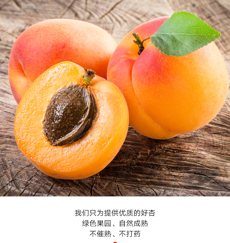 092a54aba527176fd1816030f00c5c2.png