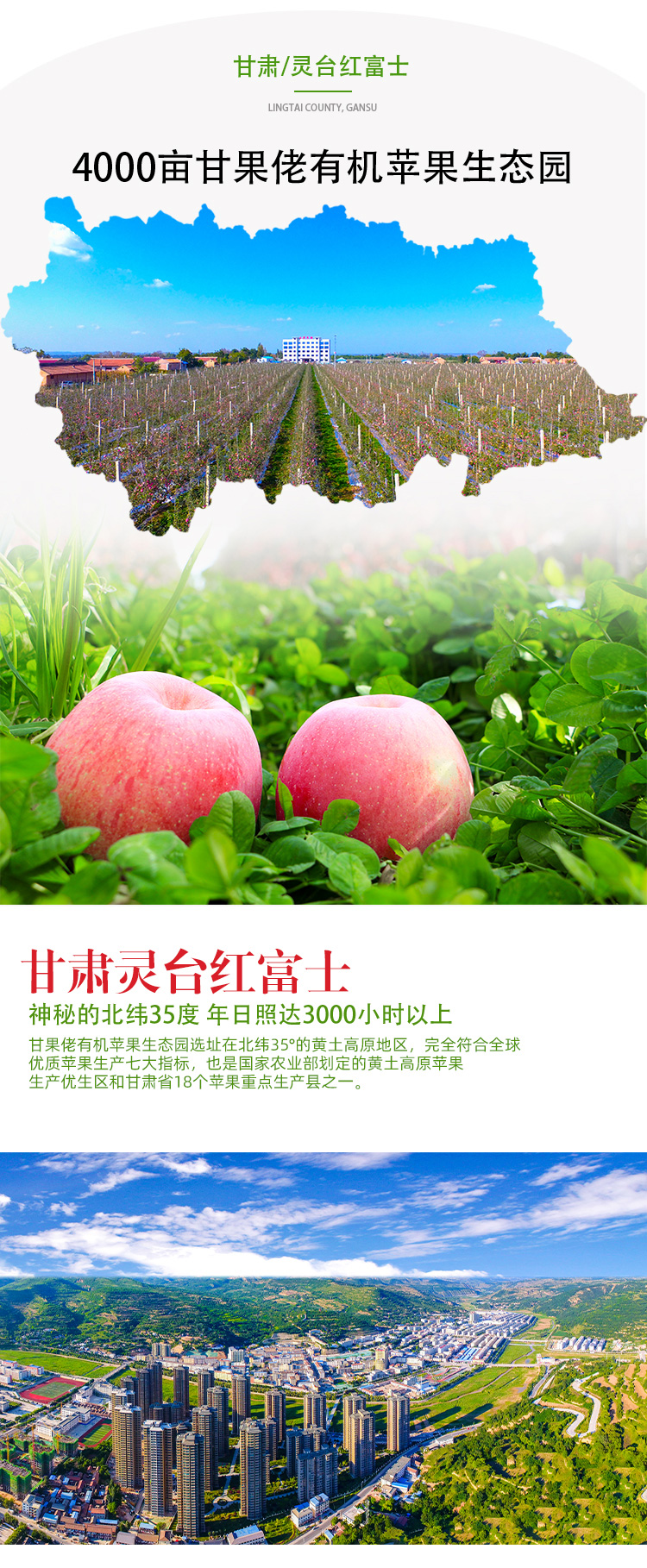 9枚手提礼盒_03.jpg