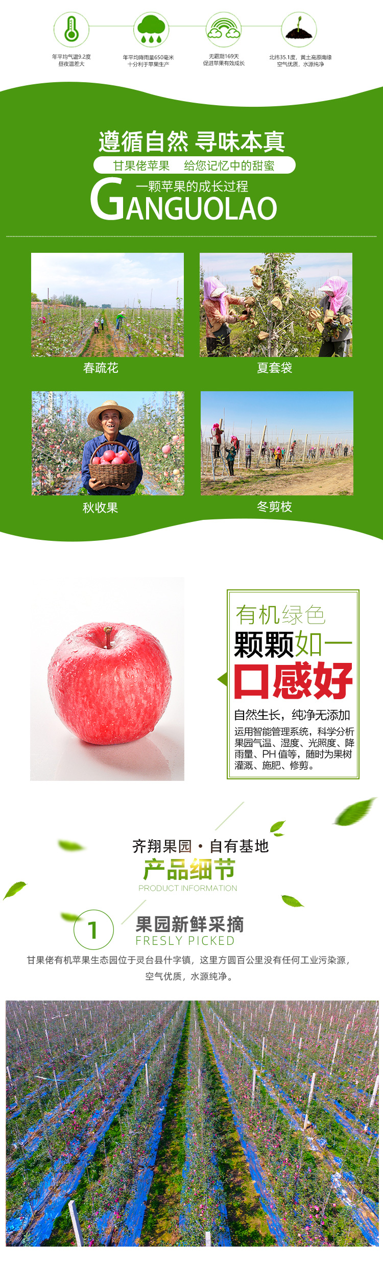 9枚手提礼盒_04.jpg