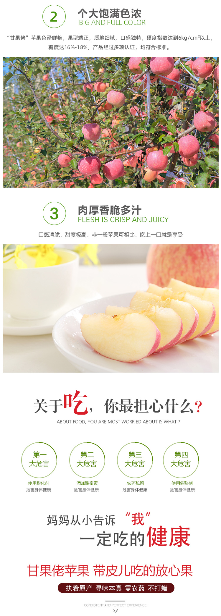 9枚手提礼盒_05.jpg