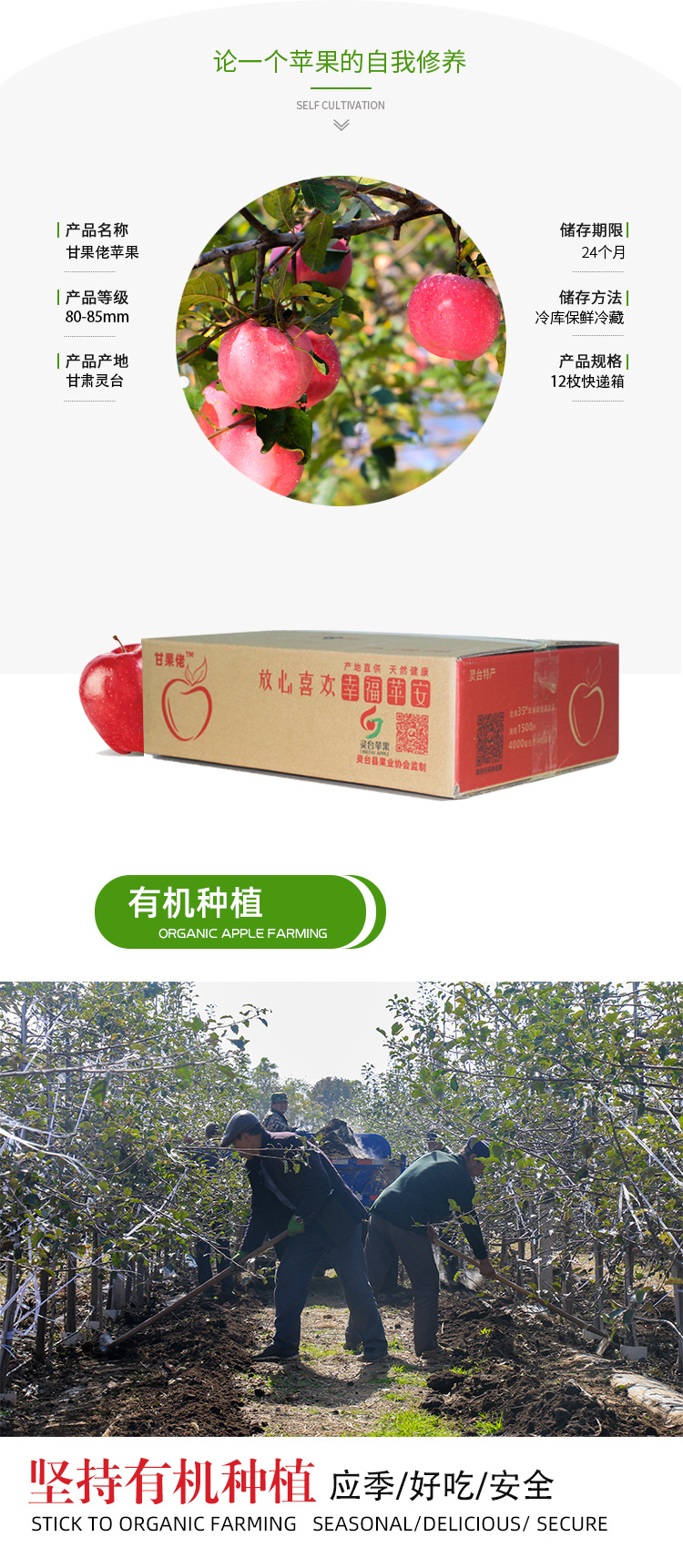 12枚快递箱_02.jpg