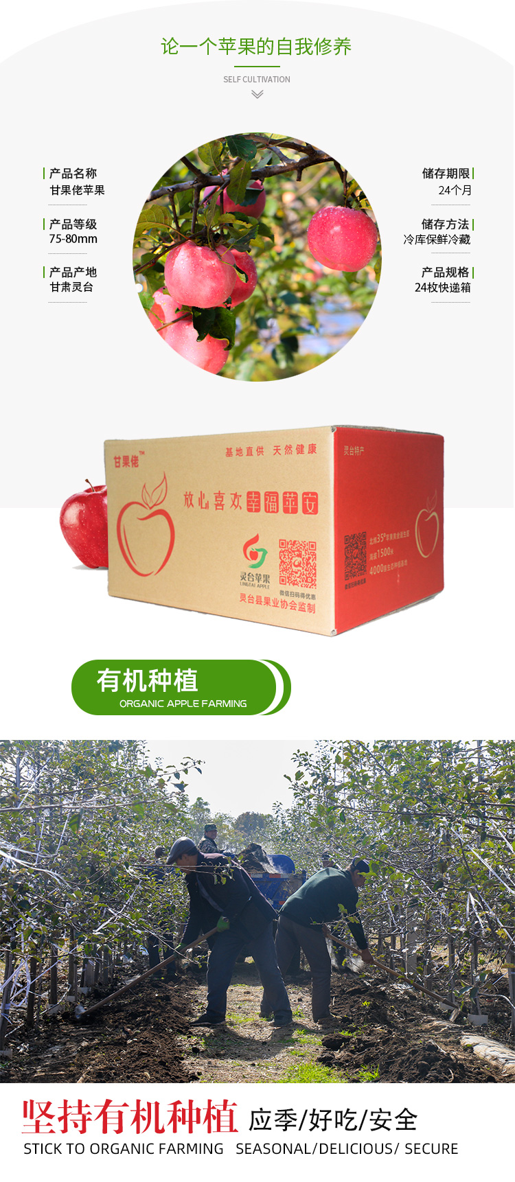24枚快递箱_02.jpg