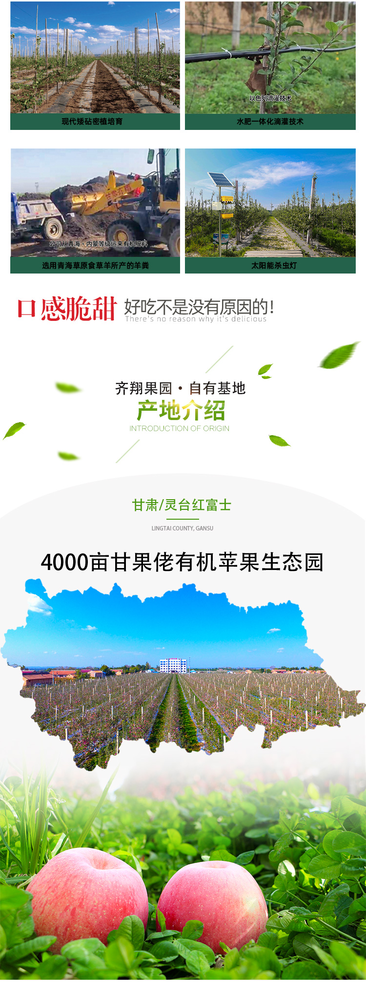 24枚快递箱_03.jpg