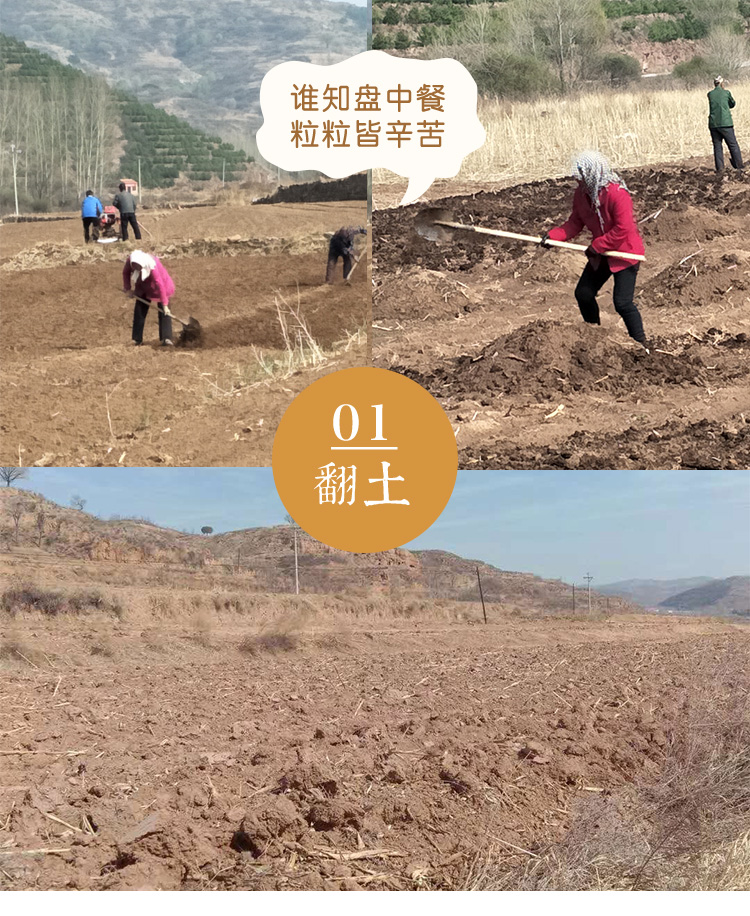 黄小米详情页_11.jpg