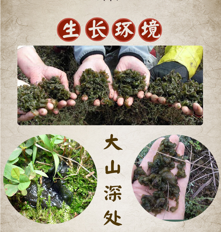 地皮菜详情页_05.jpg