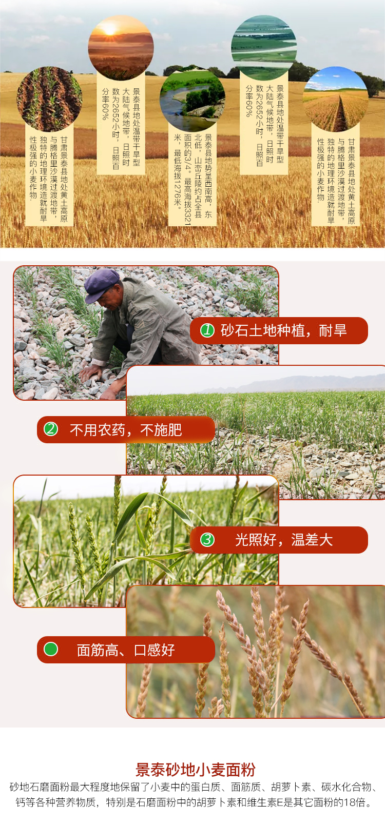 砂地面粉详情图04.jpg