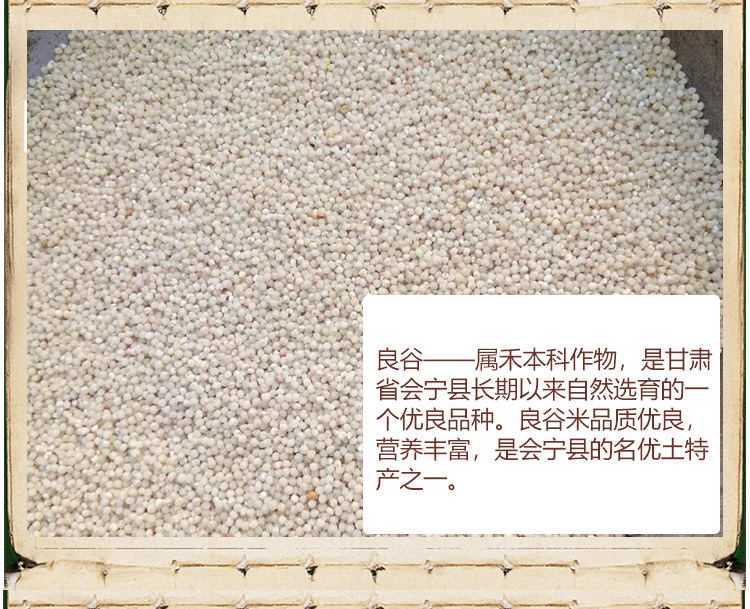 详情页 (10).jpg