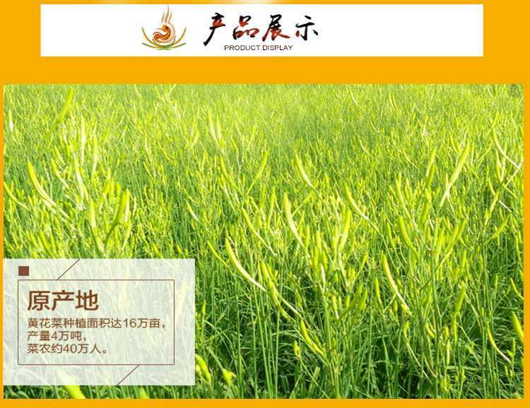 微信图片_2020091719321012.jpg