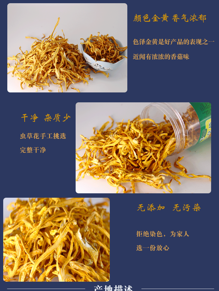 虫草花_04.gif