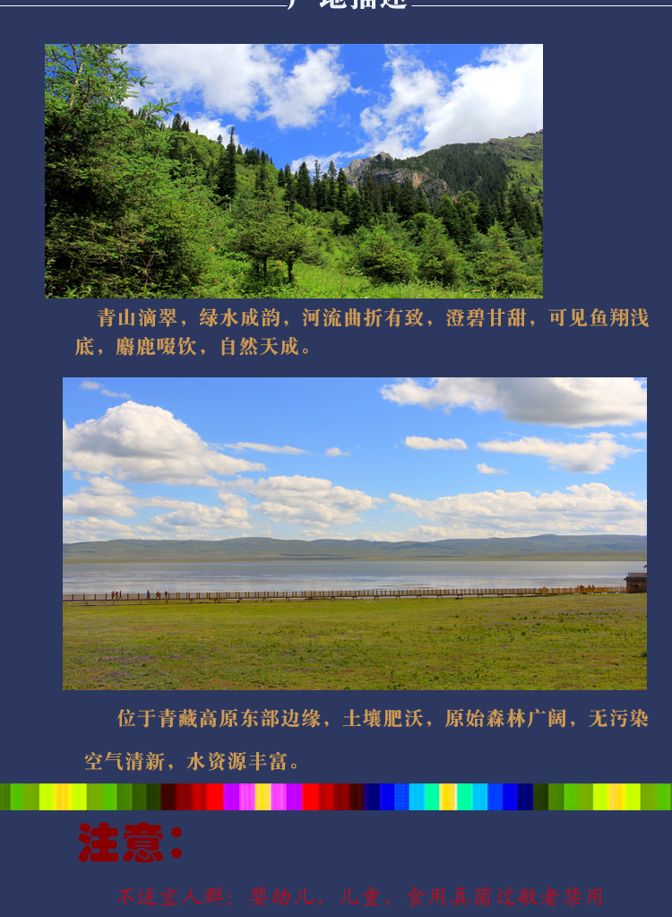 虫草花_05.jpg