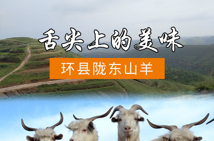 微信图片_20201016170123.jpg