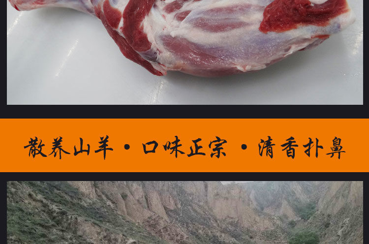 微信图片_2020101617012311.jpg