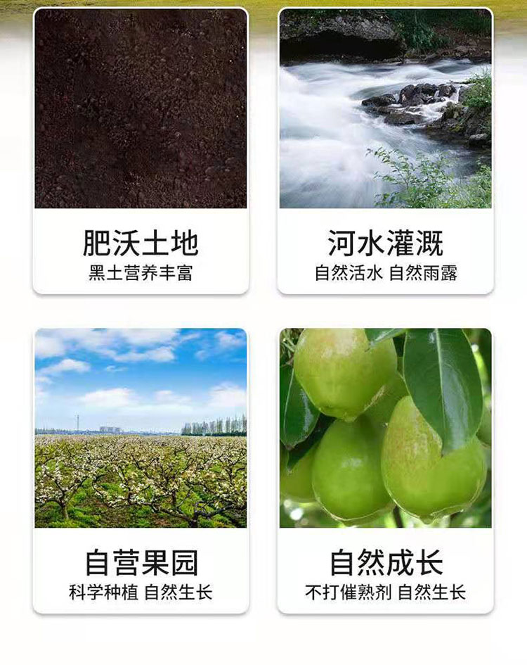 微信图片_20210221174026.jpg