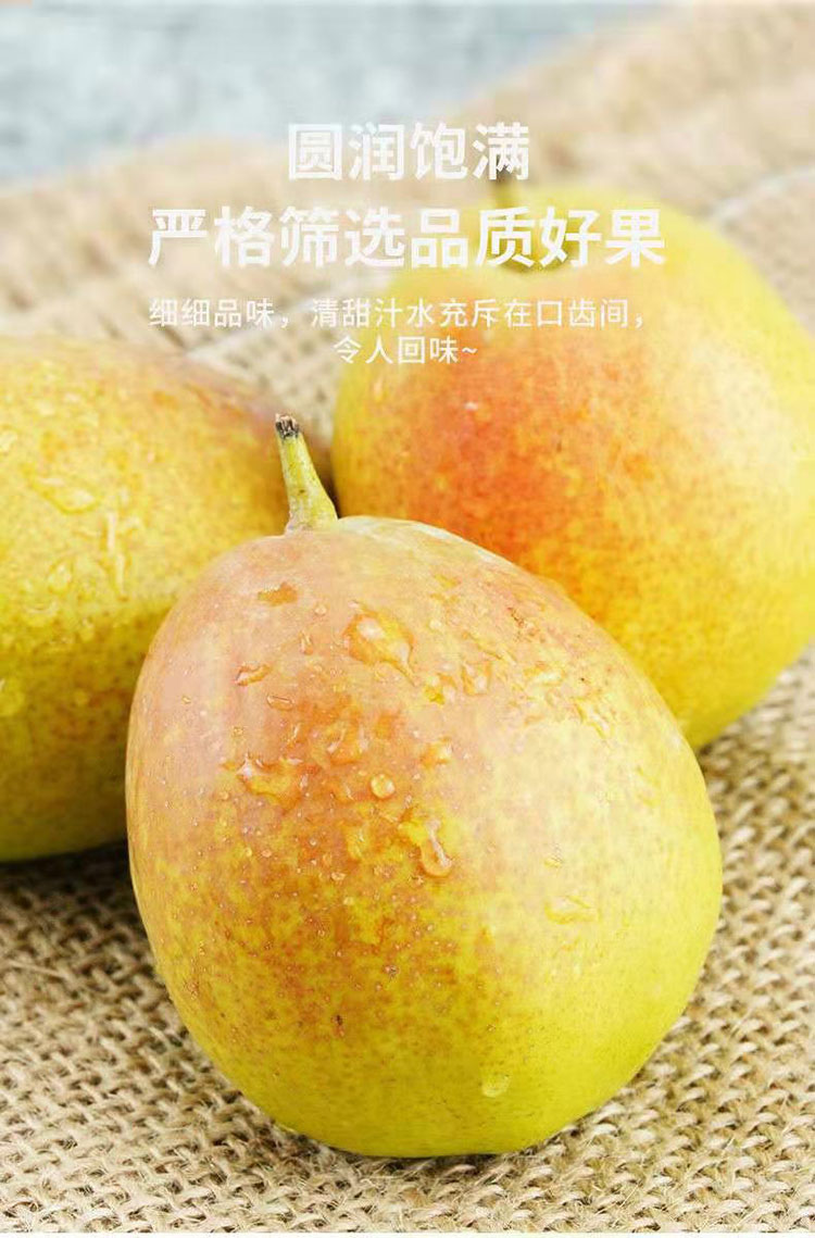 微信图片_20210221174121.jpg