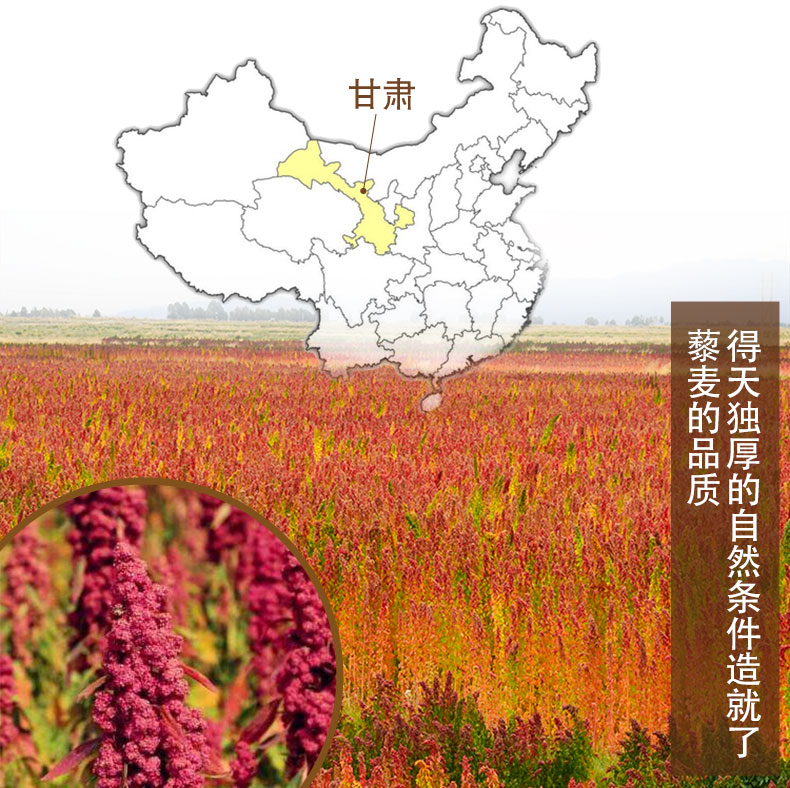 白藜麦详情1 (6).jpg