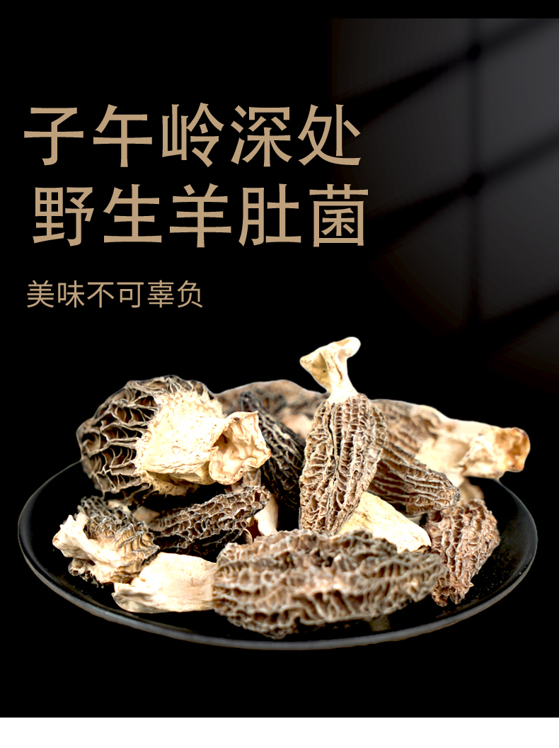 羊肚菌_02.jpg
