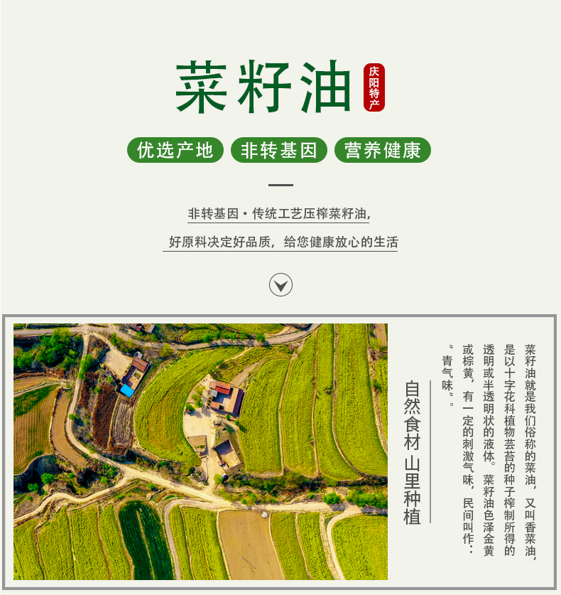 菜籽油_01.jpg