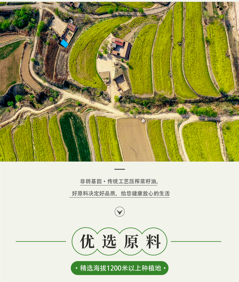 菜籽油_02.jpg