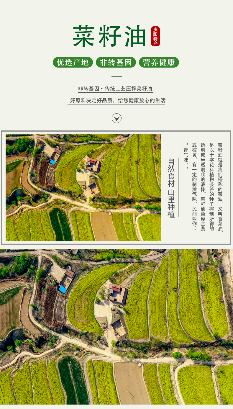 菜籽油1_01.jpg