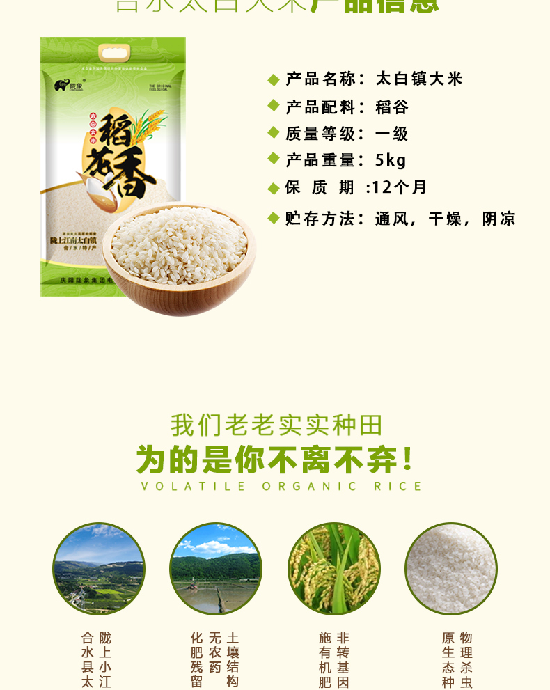 详情页_02.jpg