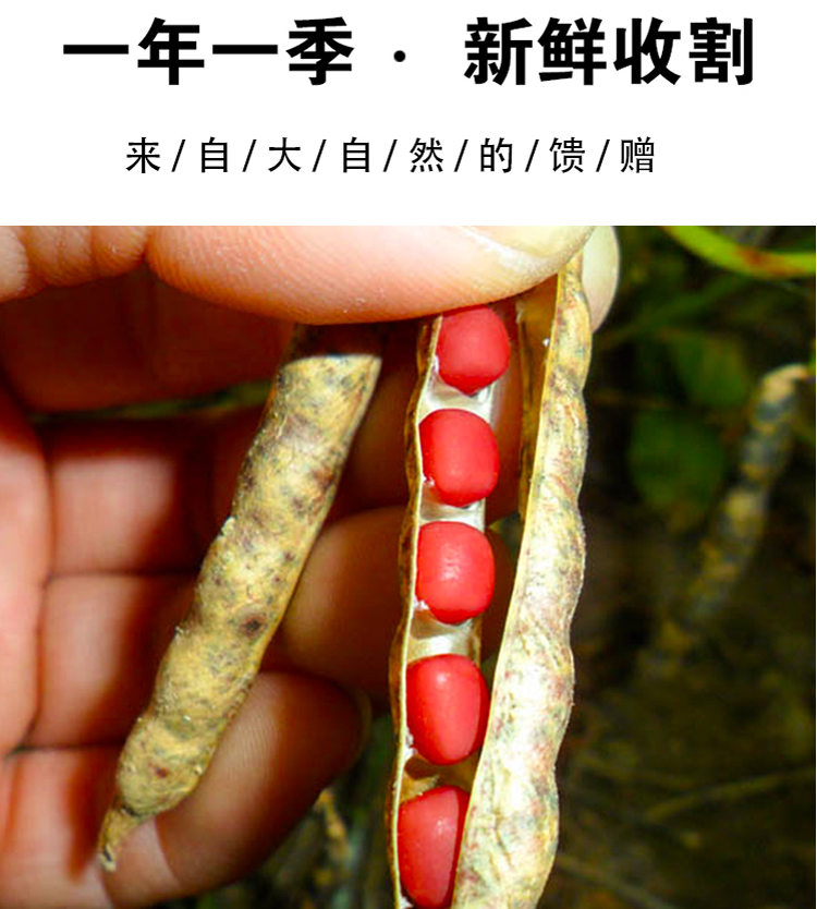 1623742276(1).png