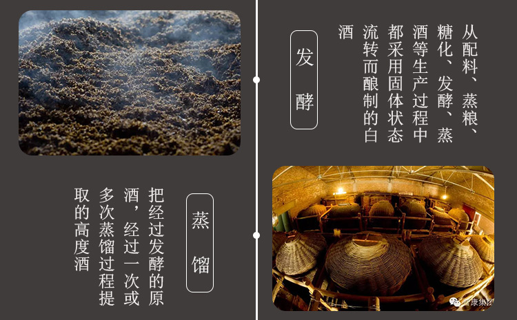 武酒10号详情_06.jpg