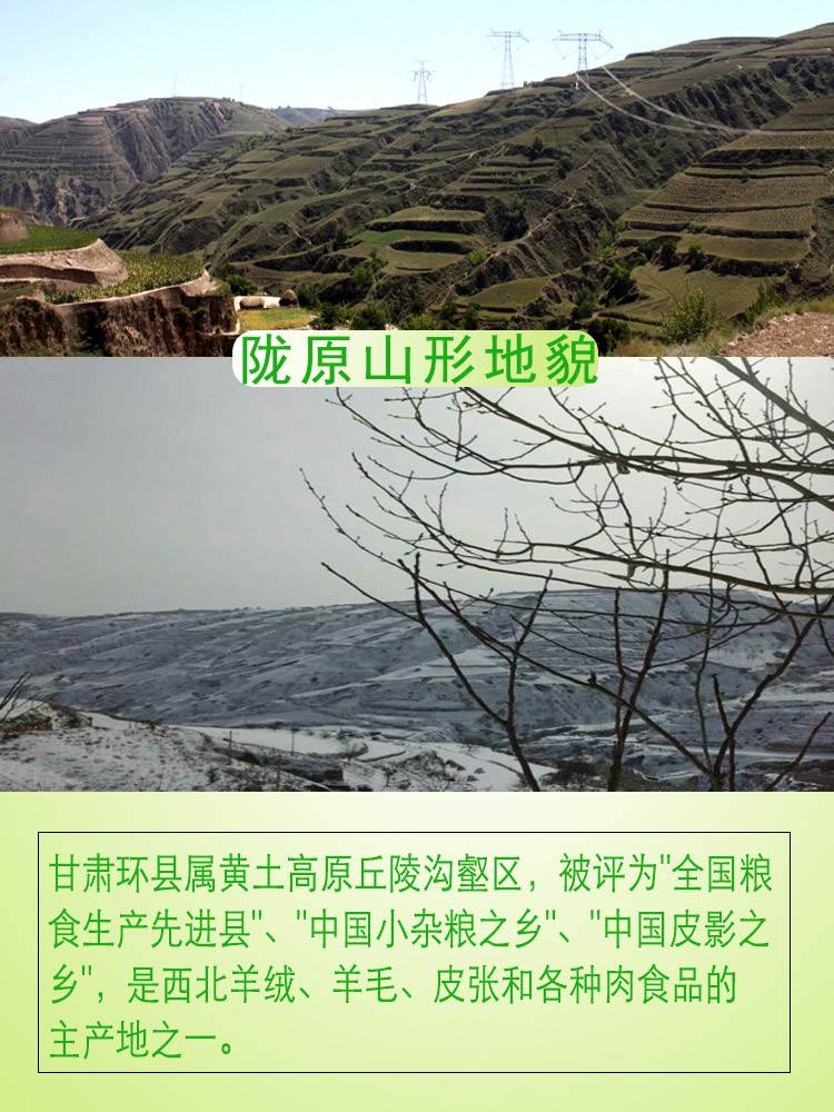 详情1.jpg