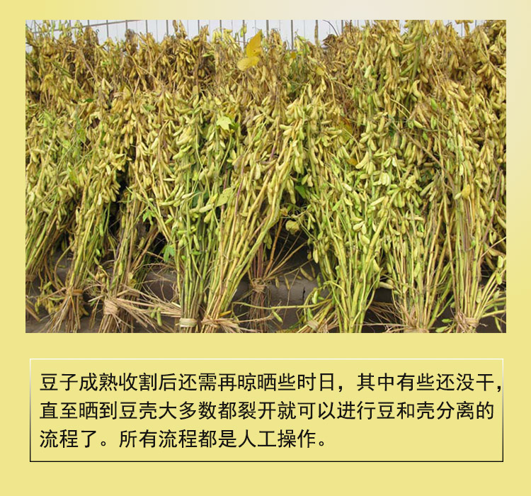 详情2.jpg