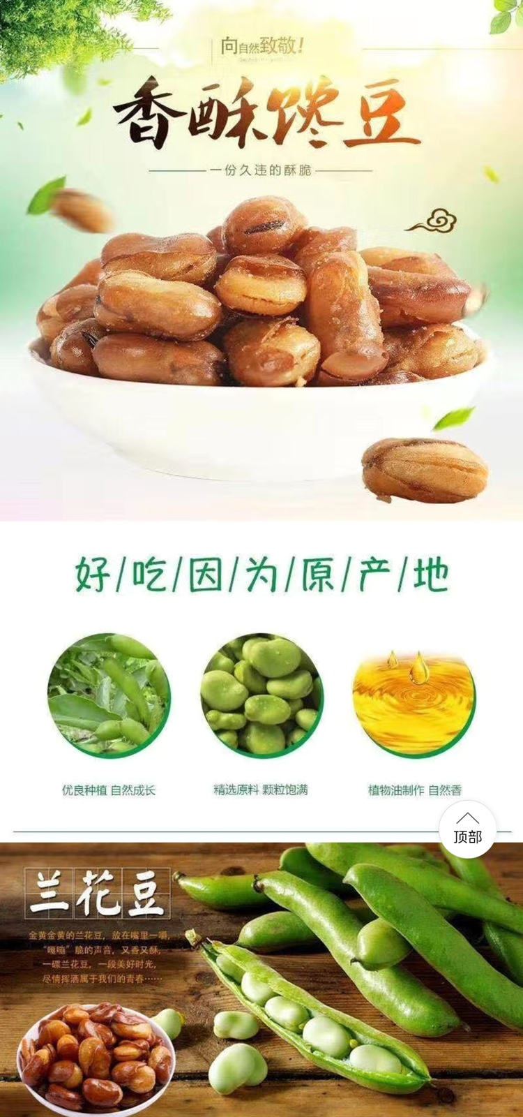 蚕豆_01.jpg