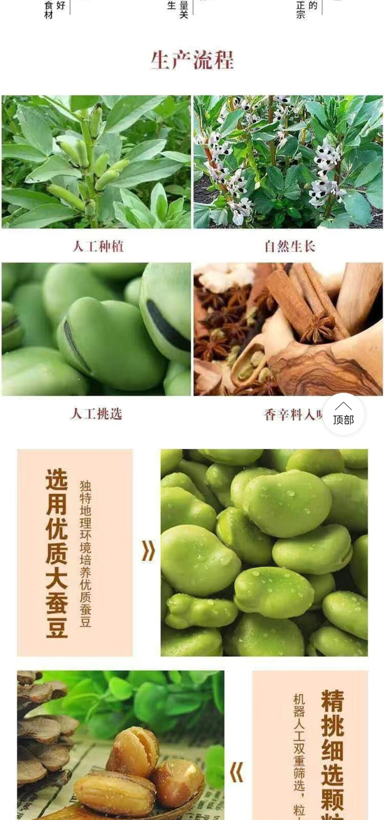 蚕豆_04.jpg