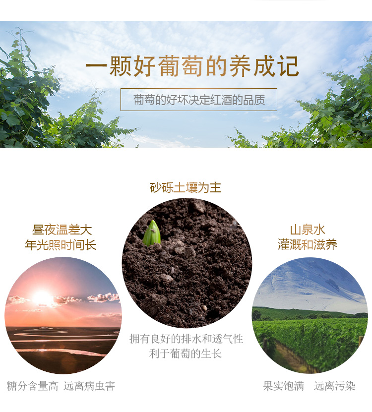 详情页_04.jpg