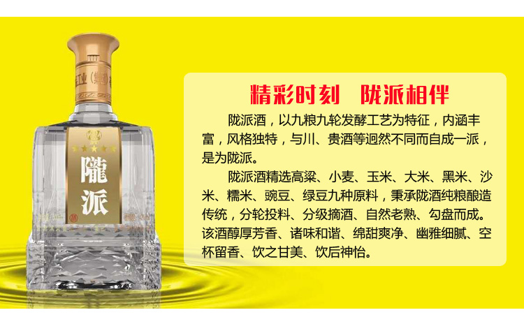 五星陇派新_03.jpg