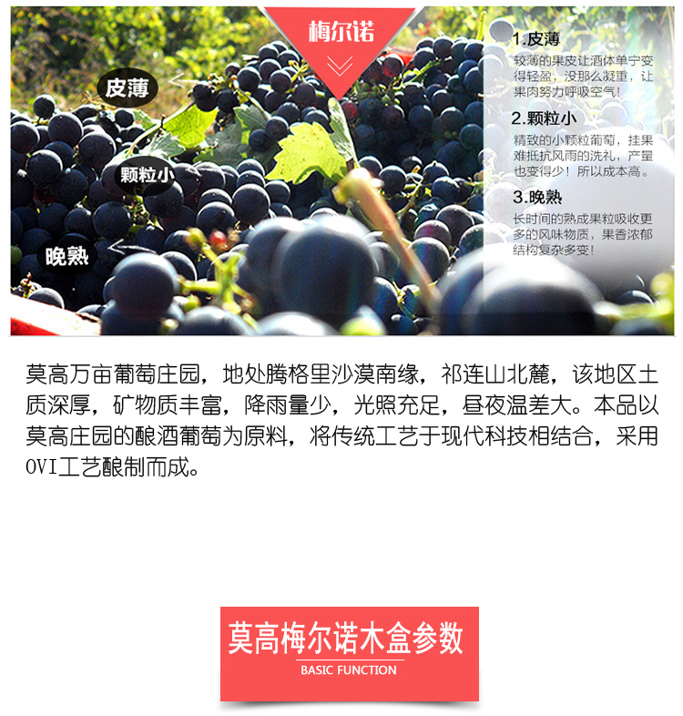 五星梅尔诺_03.jpg
