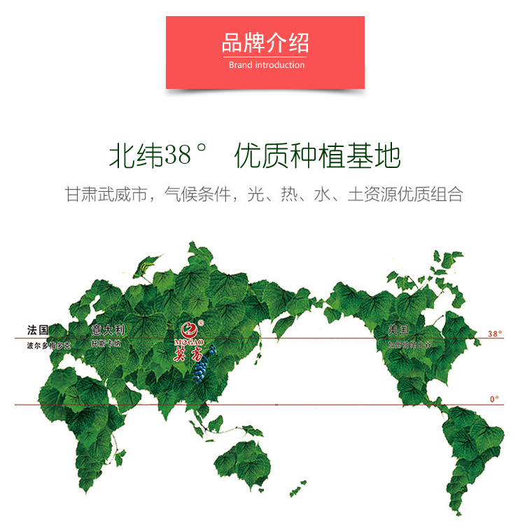 五星梅尔诺_11.jpg
