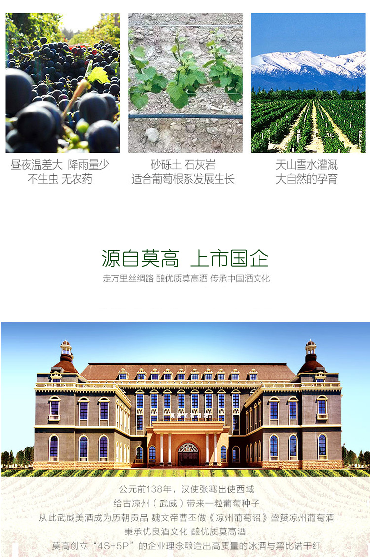 五星梅尔诺_12.jpg