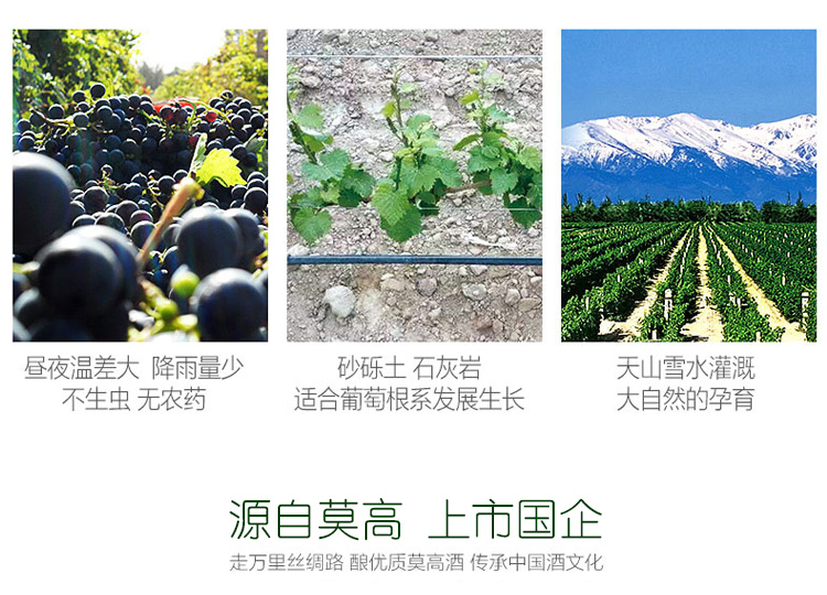 莫高金爵士_11.jpg