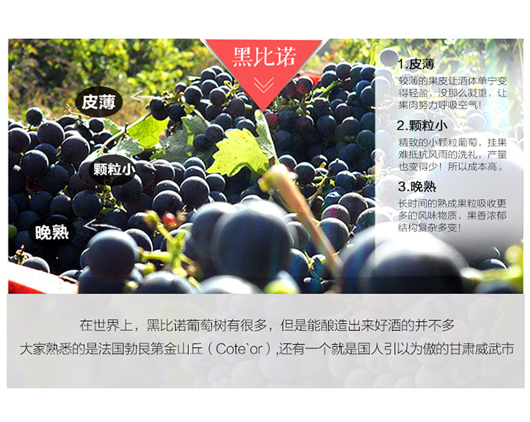 莫高2001款_03.jpg