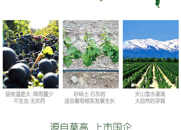 莫高2001款_12.jpg