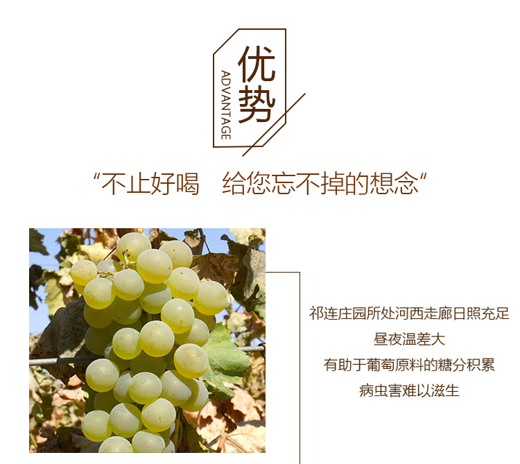 详情页_04.jpg