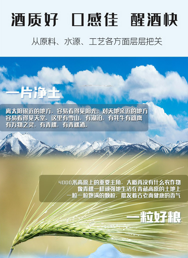 小黑青稞酒详情页_03.jpg