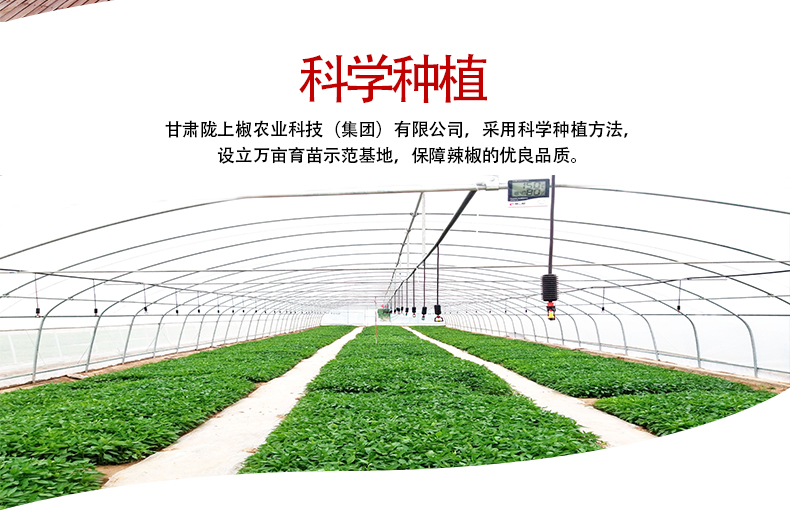 详情页4.jpg