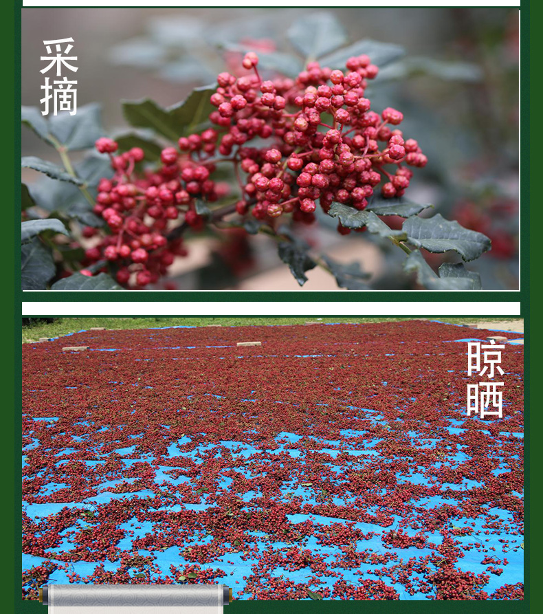 花椒粒+花椒油_04.jpg