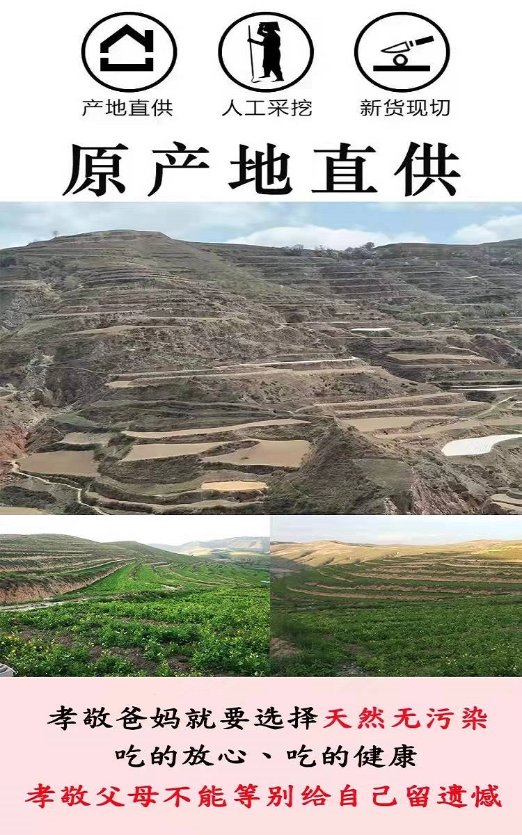 详情页2.jpg