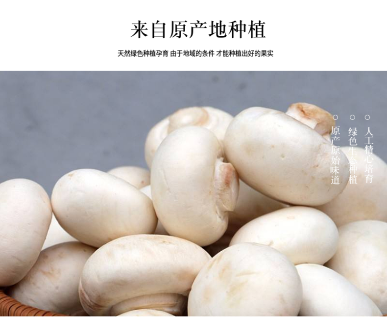 详情 (3).png