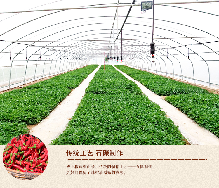 经典500_04.jpg
