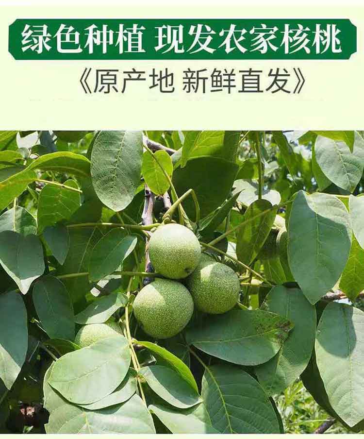 详情1-750.jpg